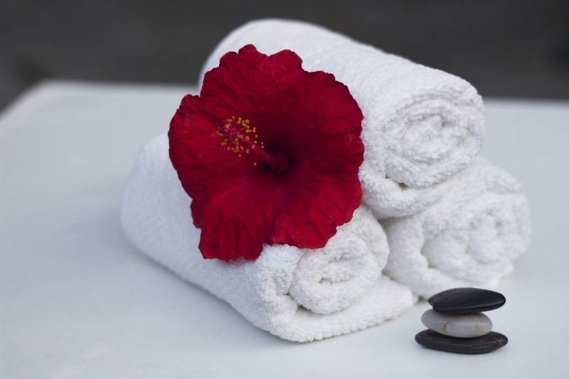 chambre-hote-BEUIL-min_towel_hibiscus_clean_care_salon_spa_white_bath-869834