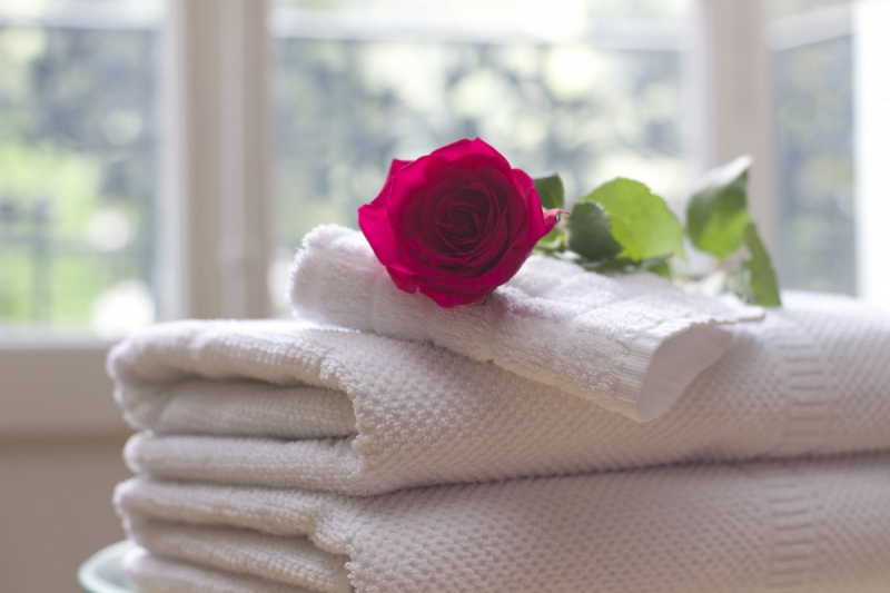 chambre-hote-BEUIL-min_towel_rose_clean_care_salon_spa_white_bath-731641